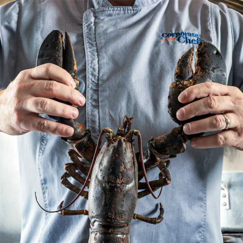 Hands holding up lobster